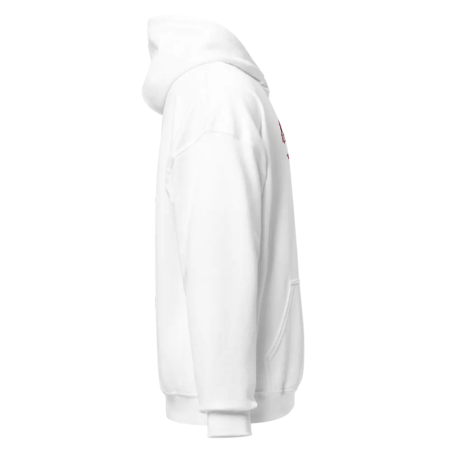 LIMITED EDITION ORCHID RUKKAZ HOODIES product image (3)