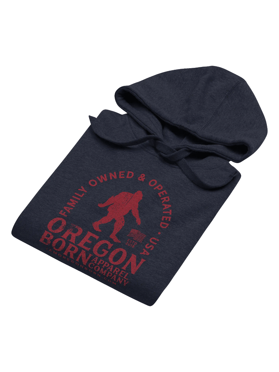Family Owned USA Hoodie product image (6)