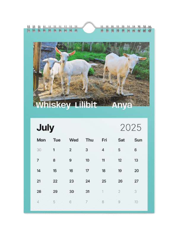 BrowncoatGoat Barn's Goats of 2025 product image (10)