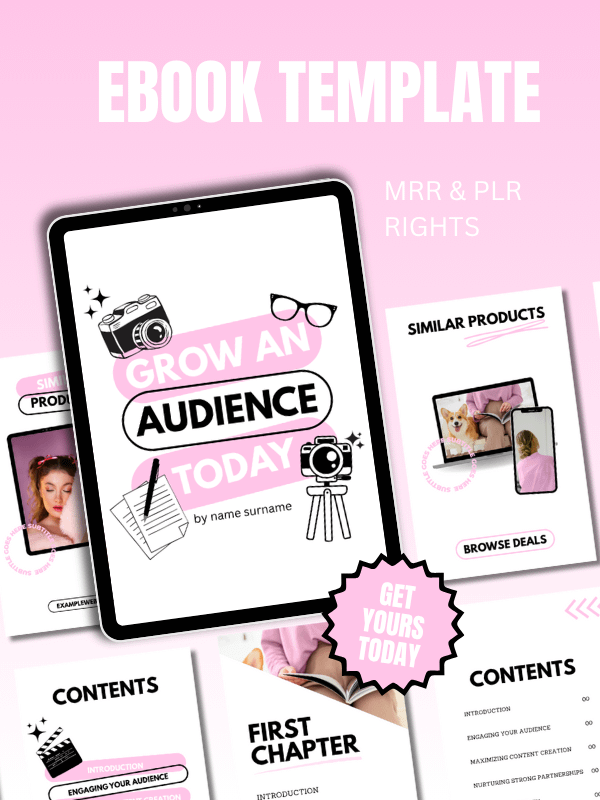 MRR/PLR Financial eBook Templates product image (11)
