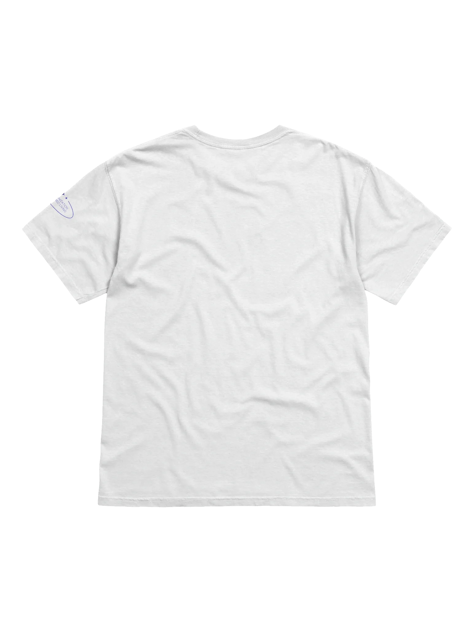 Heavyweight Tee: The GNG product image (2)