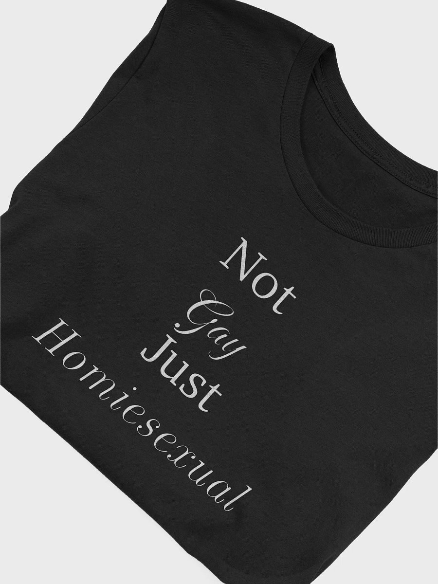Homiesexual Softstyle product image (34)