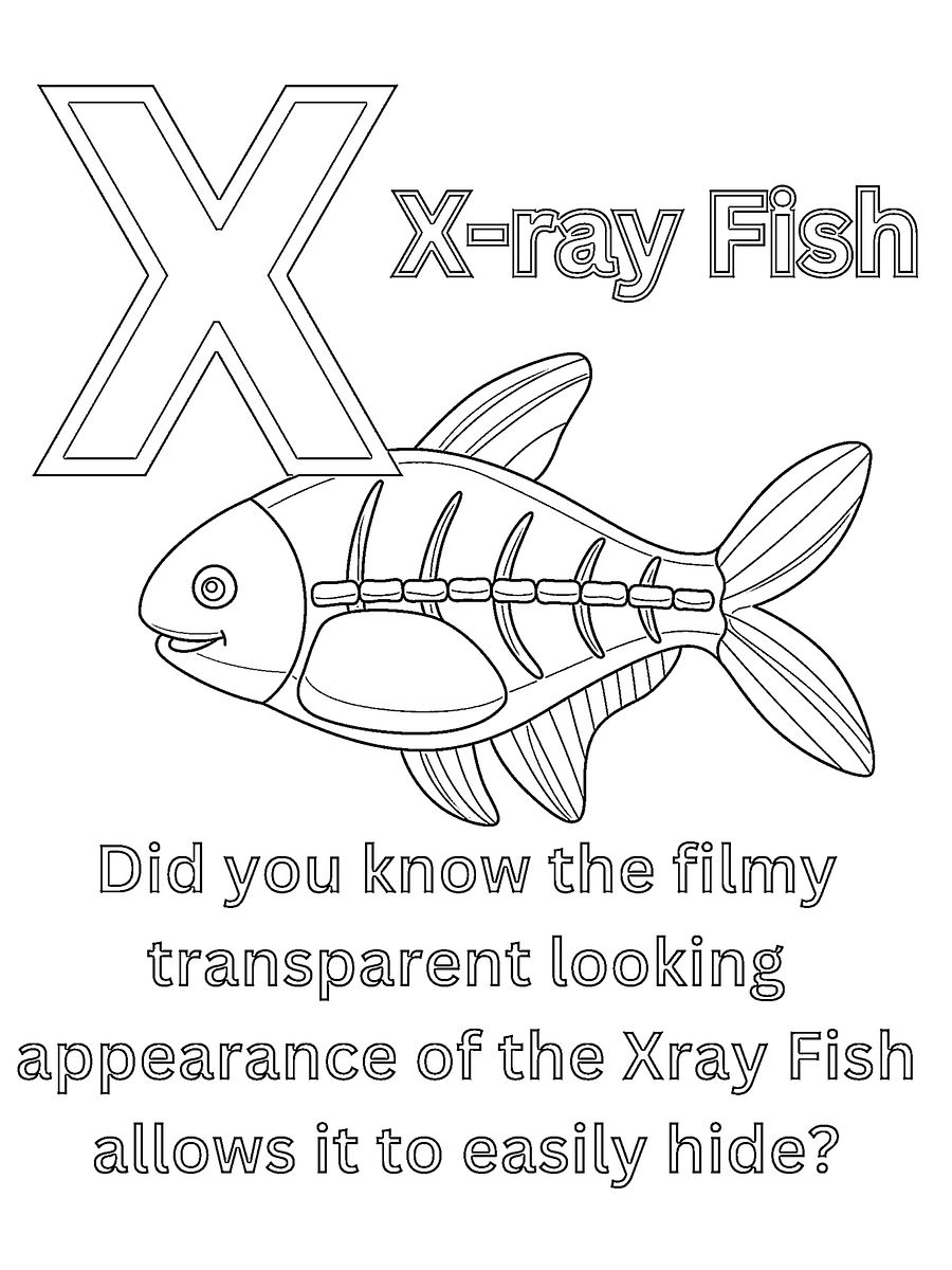 Cool Animal Facts ABCs Coloring Book: Animal Names and Information for Preschoolers and Kindergarten Children product image (9)