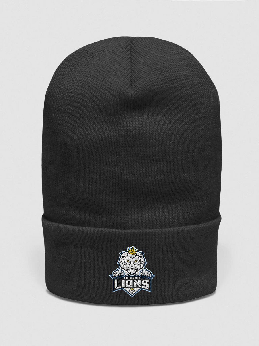 K1m6a Beanie v1.0 product image (1)