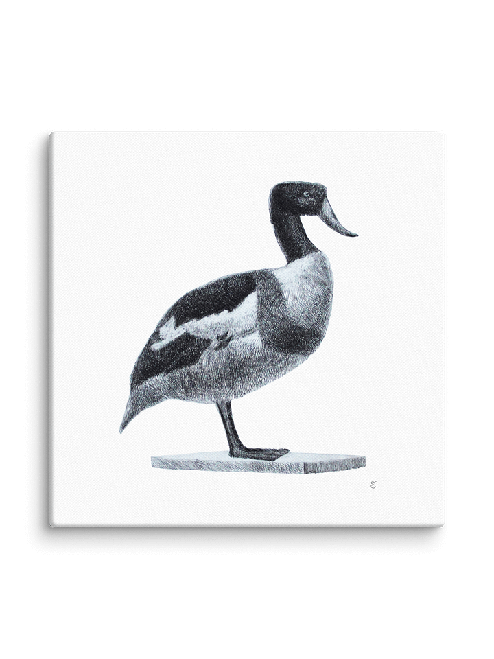 Blank Canvas: Unleash Your Artistic Vision - Duck product image (2)