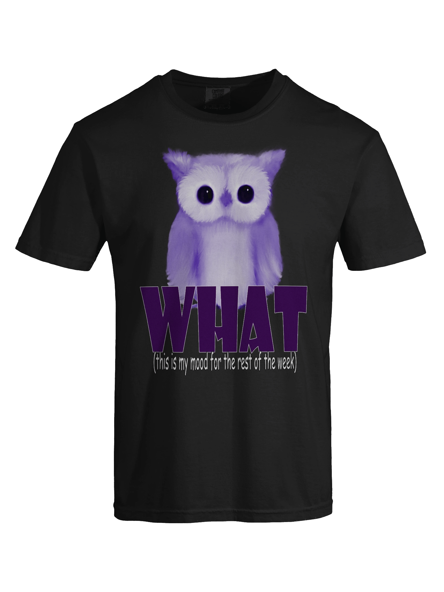 Whimsical 'WHAT.' Owl T-Shirt product image (7)