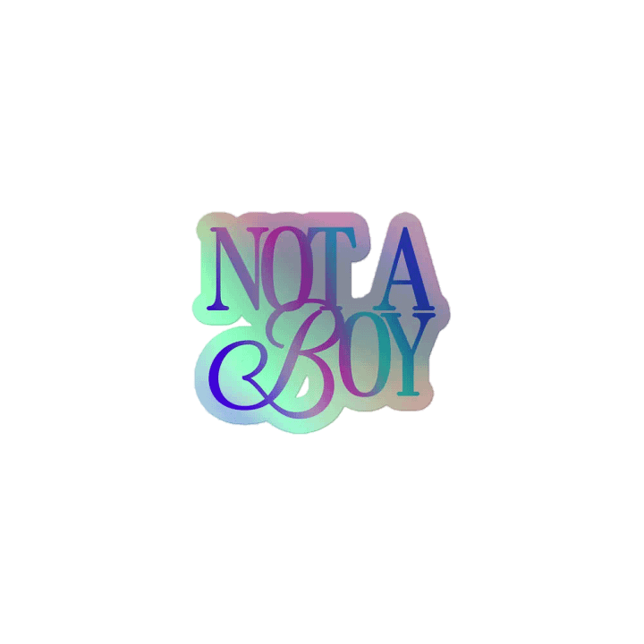 Not A Boy - Holo Sticker product image (1)