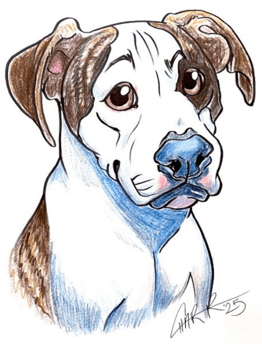 Colour Sketch product image (1)