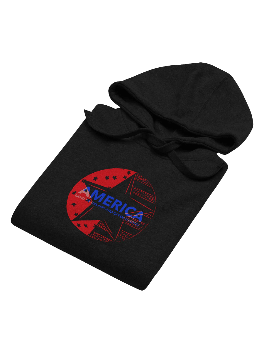 America Dreams & Opportunities Premium Hoodie product image (4)