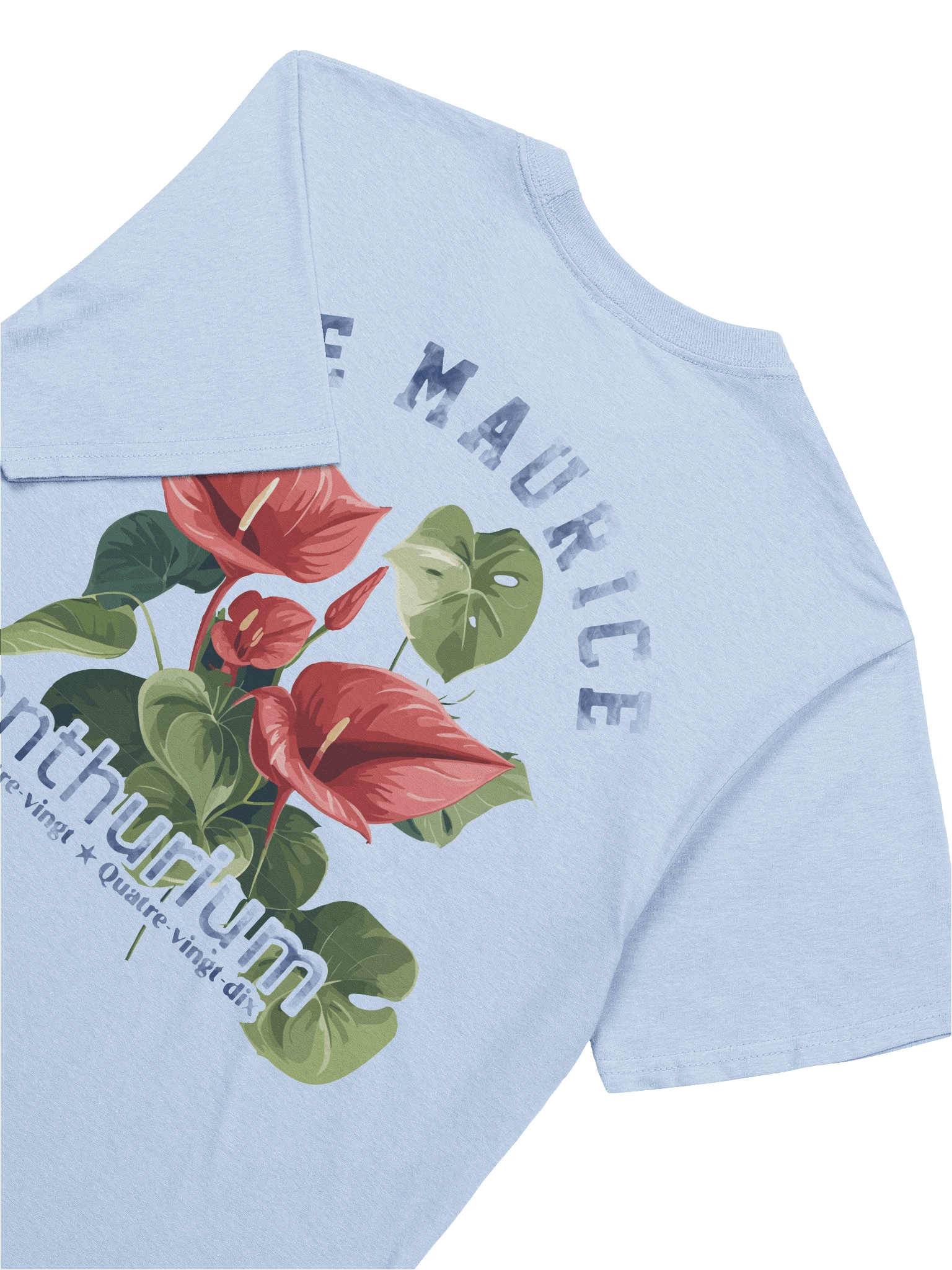 Anthurium 90s –Mauritius product image (6)