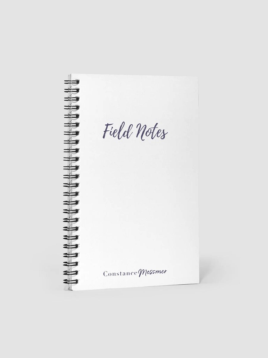 Field Notes Bullet Notebook product image (1)