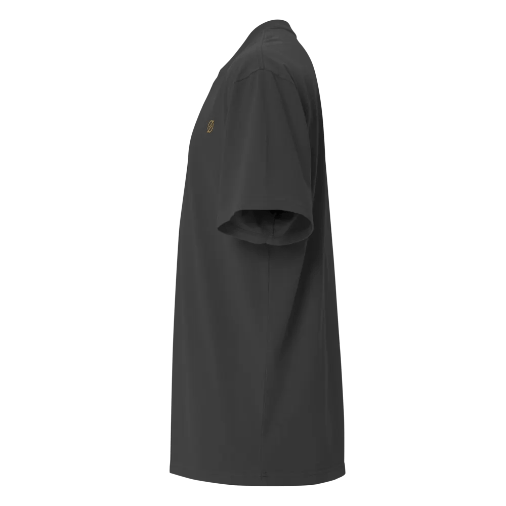 Performance Space Premium Oversized Faded T-Shirt - City Edition product image (5)