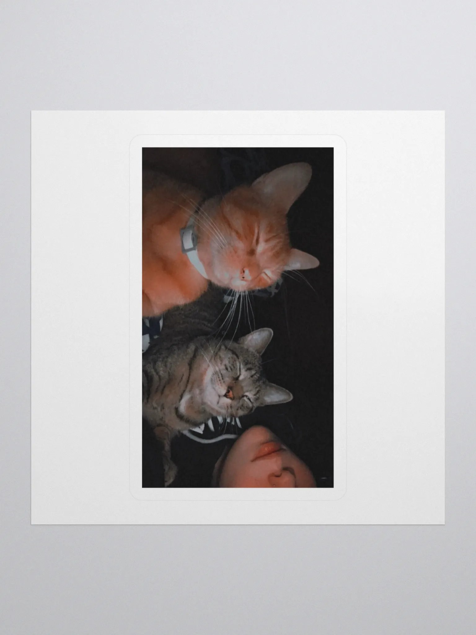 kitty stickers product image (1)