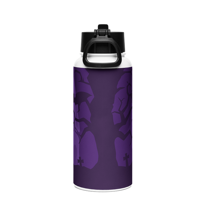 Stainless Steel Water Bottle with a Straw Lid product image (2)