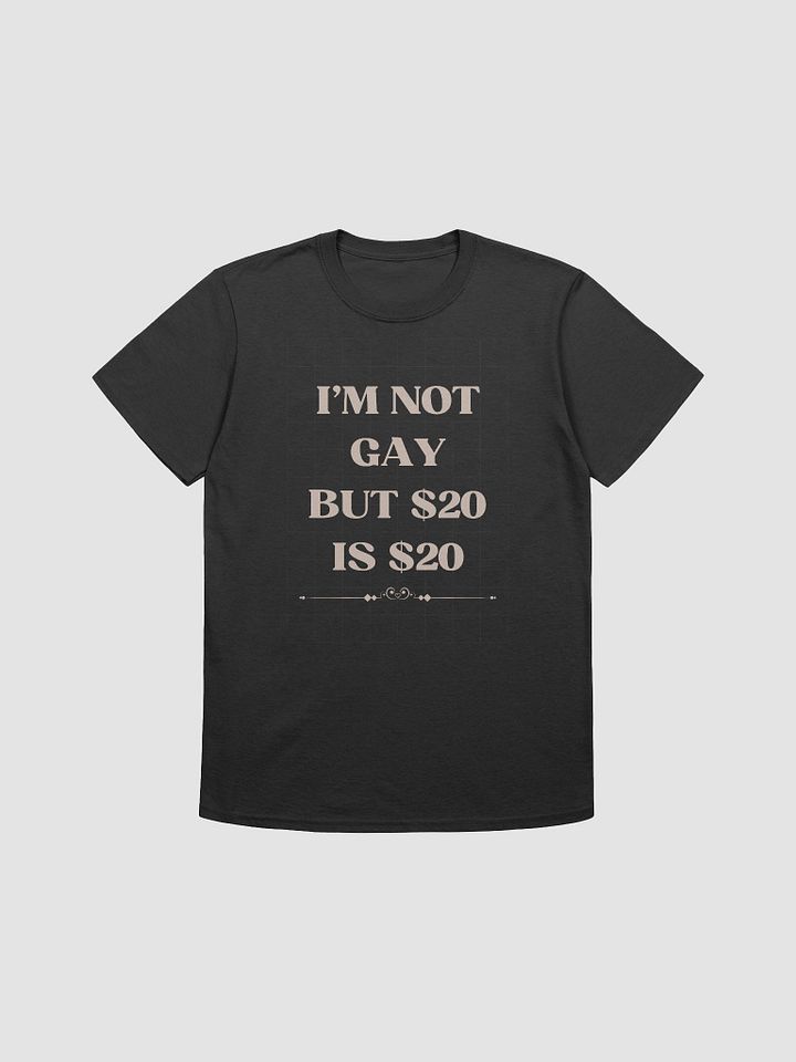 I'm Not Gay But $20 is $20 Unisex T-Shirt V21 product image (1)