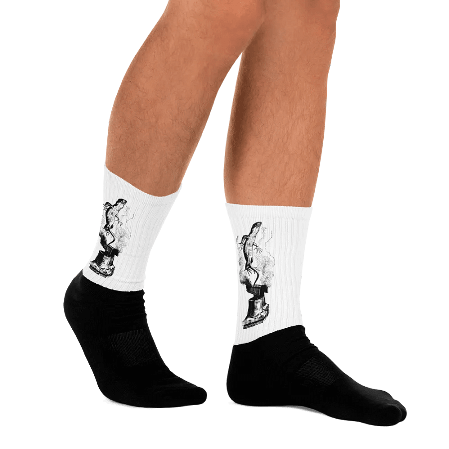 Chimney Lizard Black Foot Socks - Alice Collection product image (7)