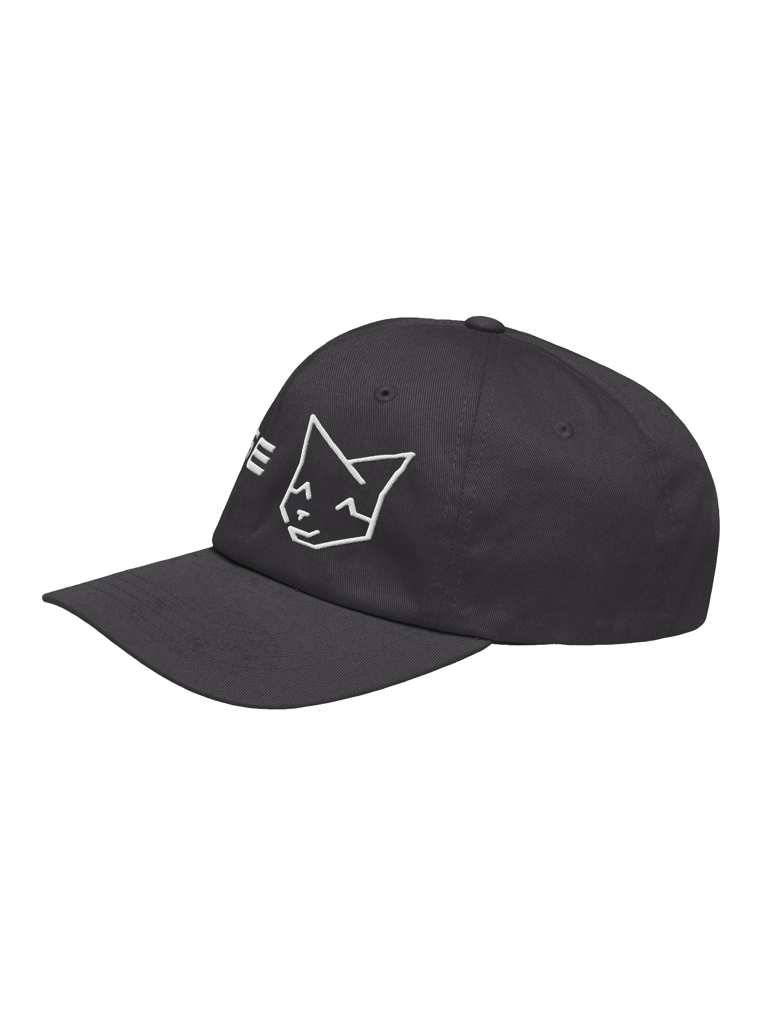 ValStar - Brand Ambigous Hat product image (3)