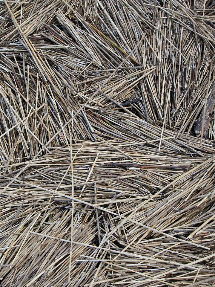 Abstract Image Collection product image (2)
