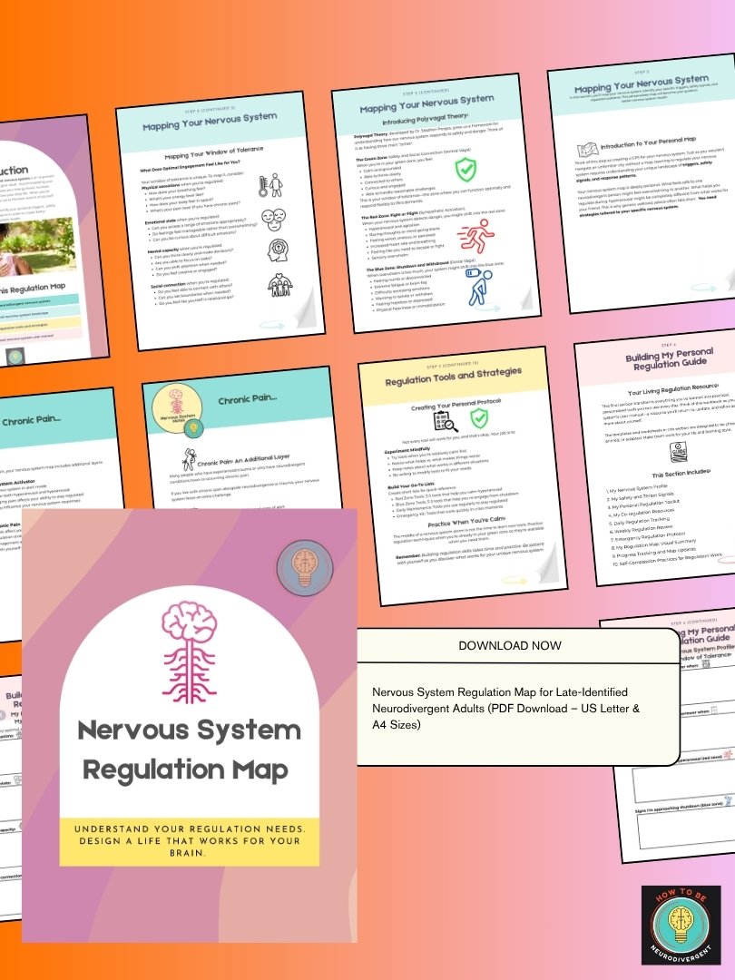 Nervous System Regulation Map product image (2)