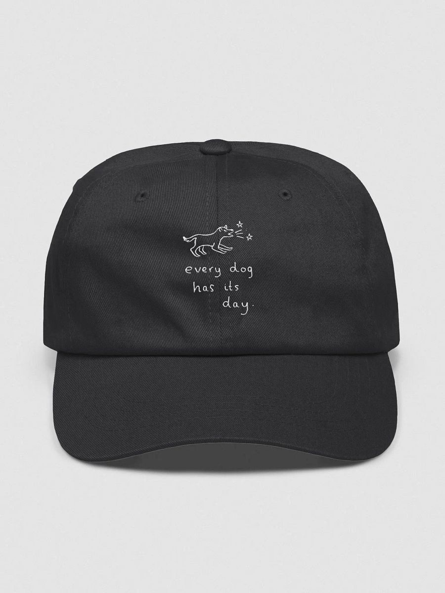 Exclusive Embroidery Cap product image (2)