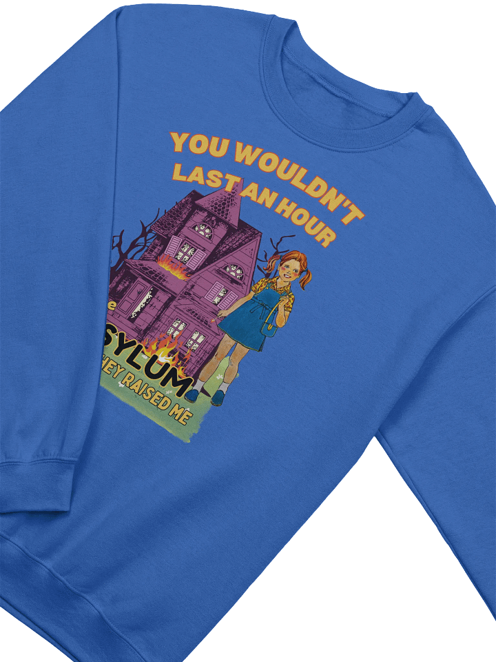 You Would't Last An Hour In The Asylum They Raised Me Sweatshirt product image (45)