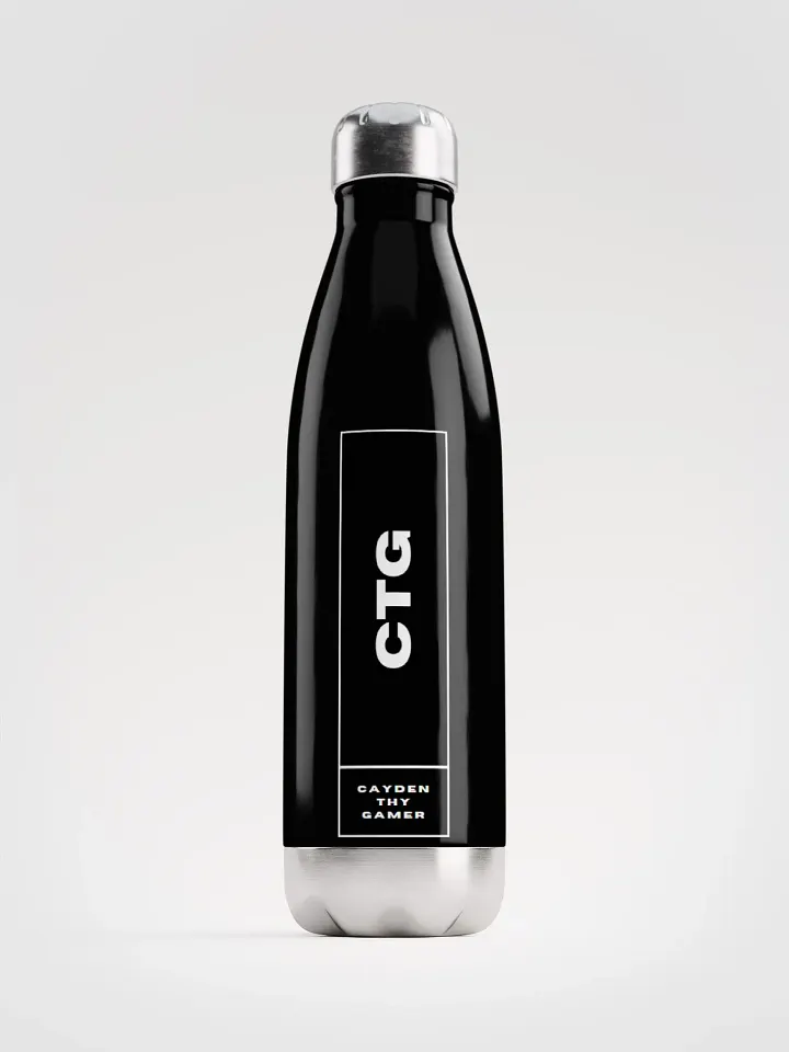 Stainless Steel Water Bottle | CTG product image (1)