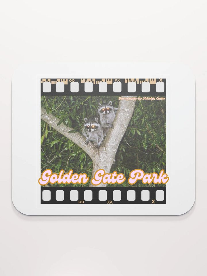 Golden Gate Park Raccoons Mouse Pad product image (2)