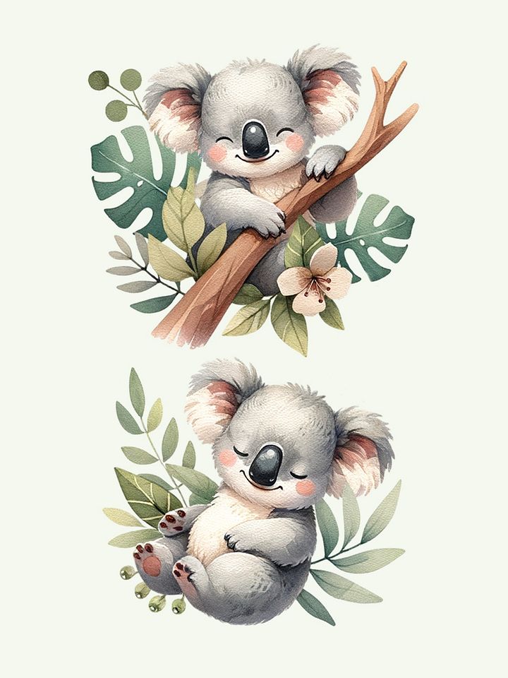 Cute Koala Animals - Clipart product image (1)