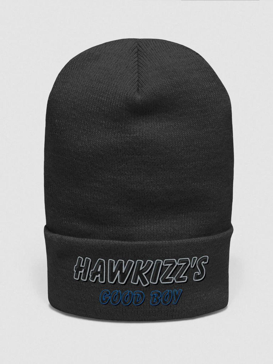 Good Boy Beanie product image (3)