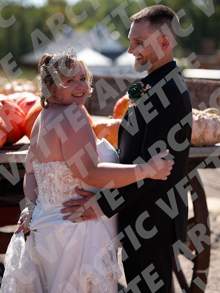 Arctic Vette Wedding Photo Bundle - Honeymoon Fundraiser product image (2)