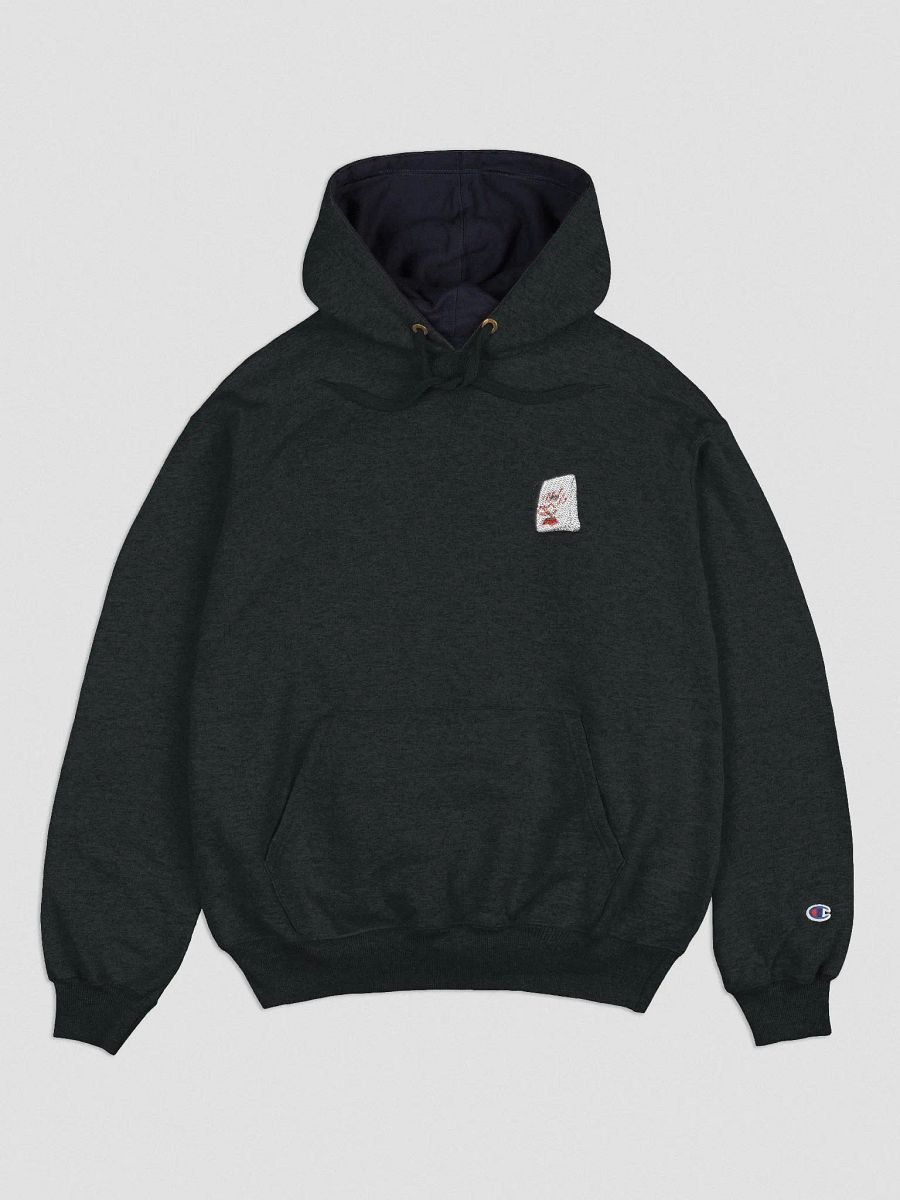 Down Baggers Embroidered Hoodie product image (2)