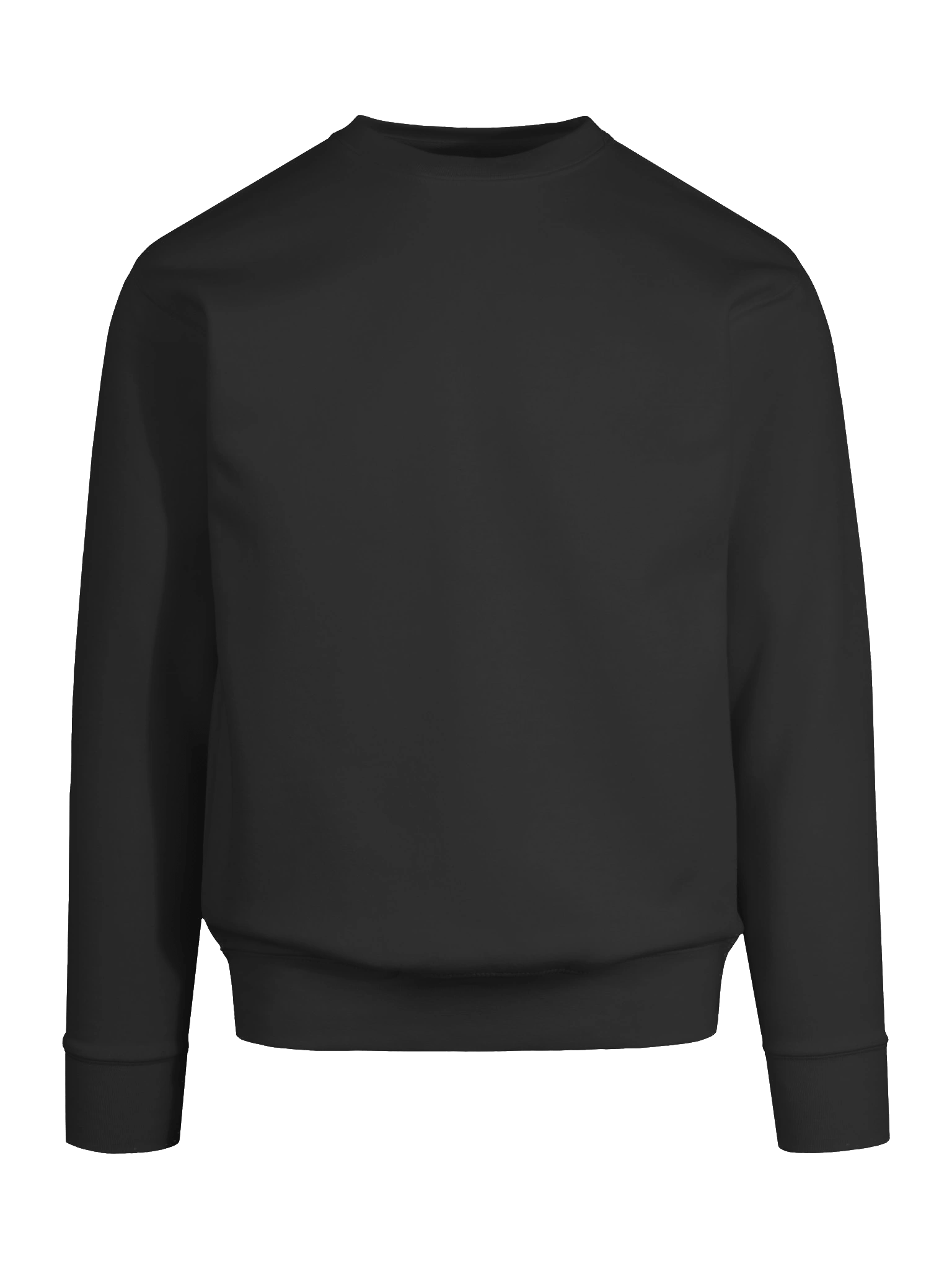 The Corporation Standard-Issue Sweatshirt product image (9)