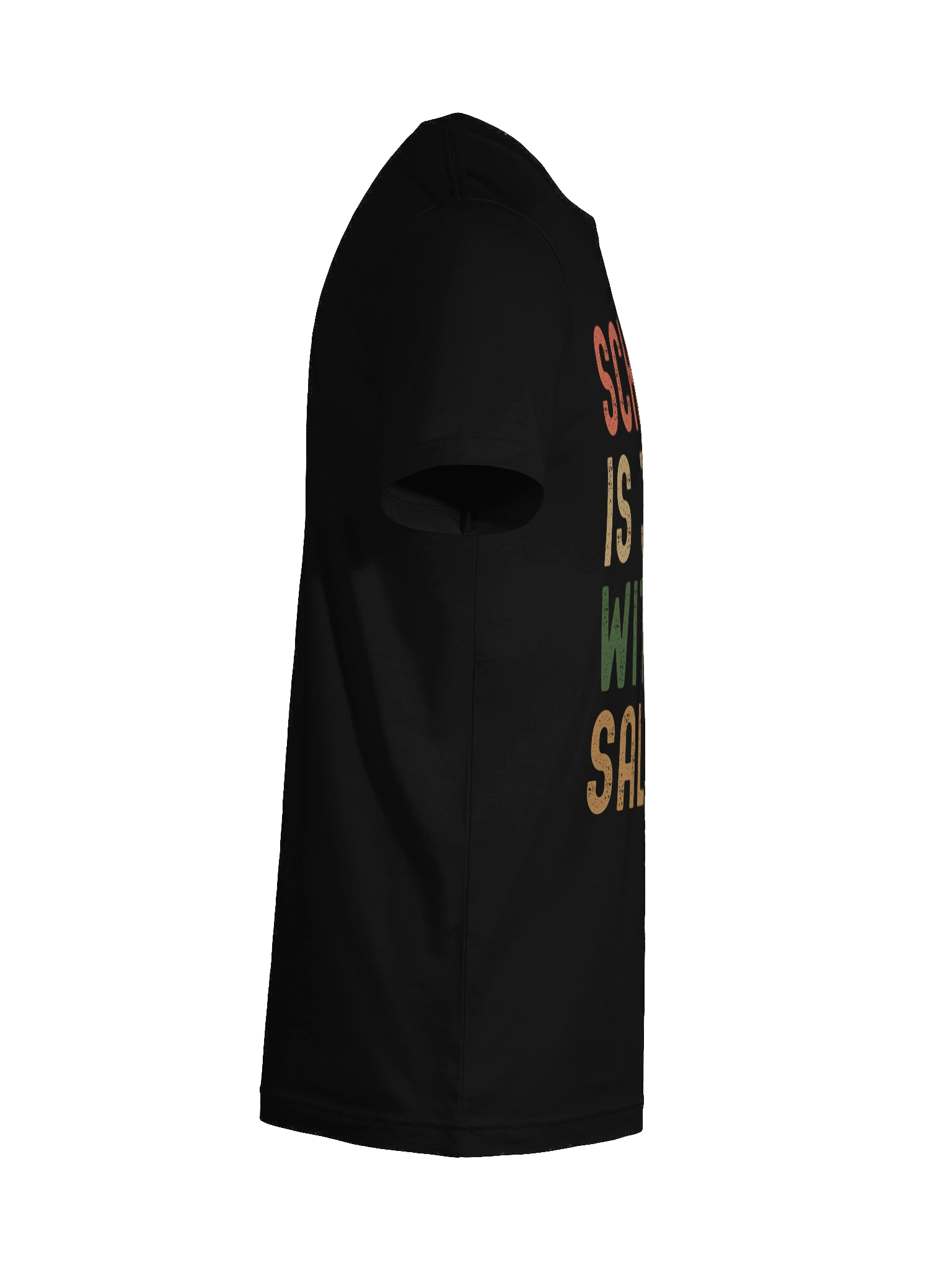 School is Job Without Salary T-Shirt product image (47)