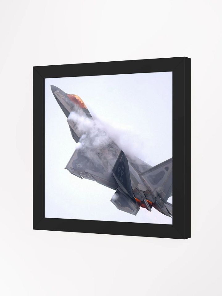 F-22 High G Turn product image (6)