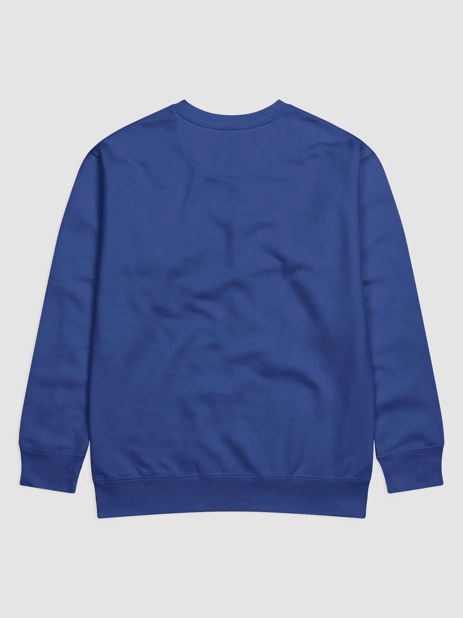 AWAKE NOT WOKE Premium Sweatshirt product image (31)