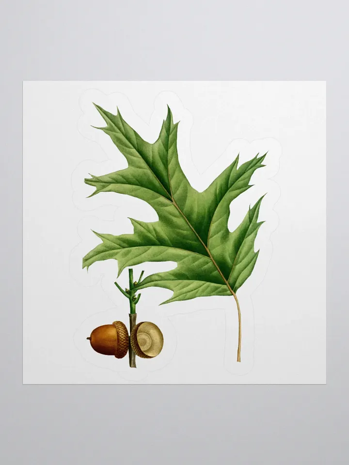 Red Oak Sticker product image (1)