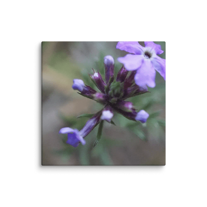 Flower Canvas product image (1)