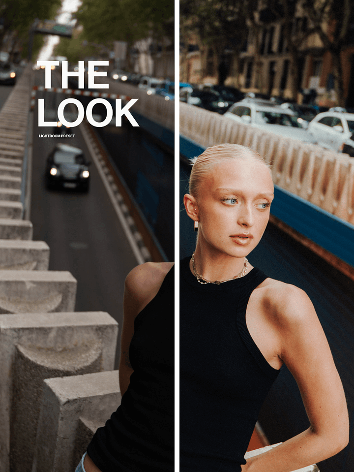 THE LOOK: Advanced Lightroom Film Preset product image (2)