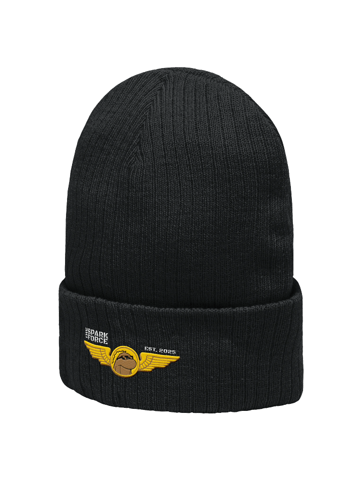 Beanie product image (2)