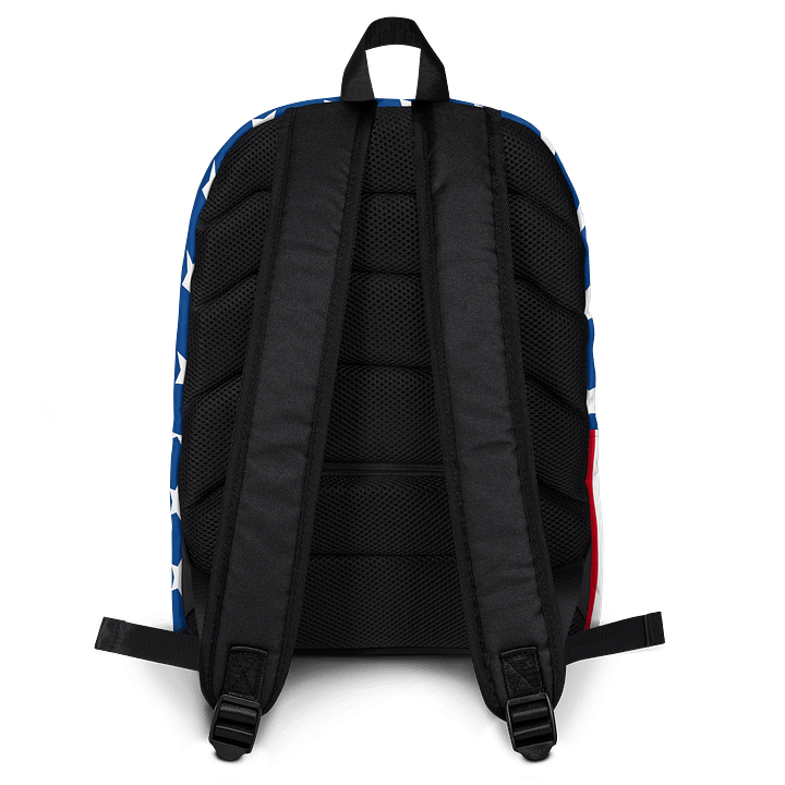United States Backpack product image (2)