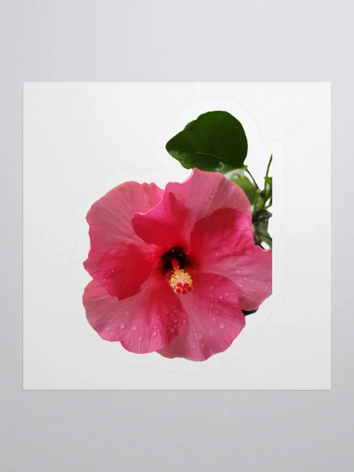 Flower Stickers v2 product image (1)
