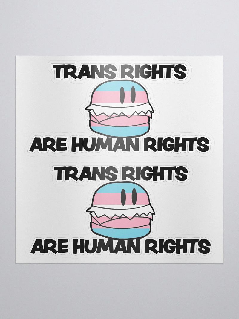 Trans Rights Stickers (2-pack)