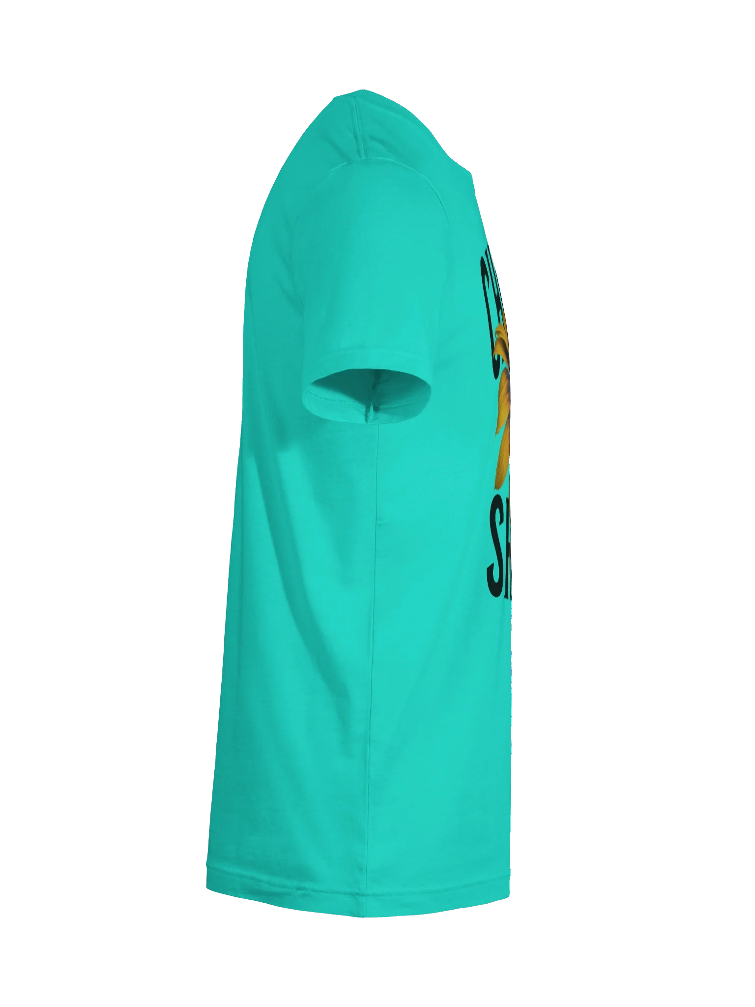 Choose to shine product image (6)