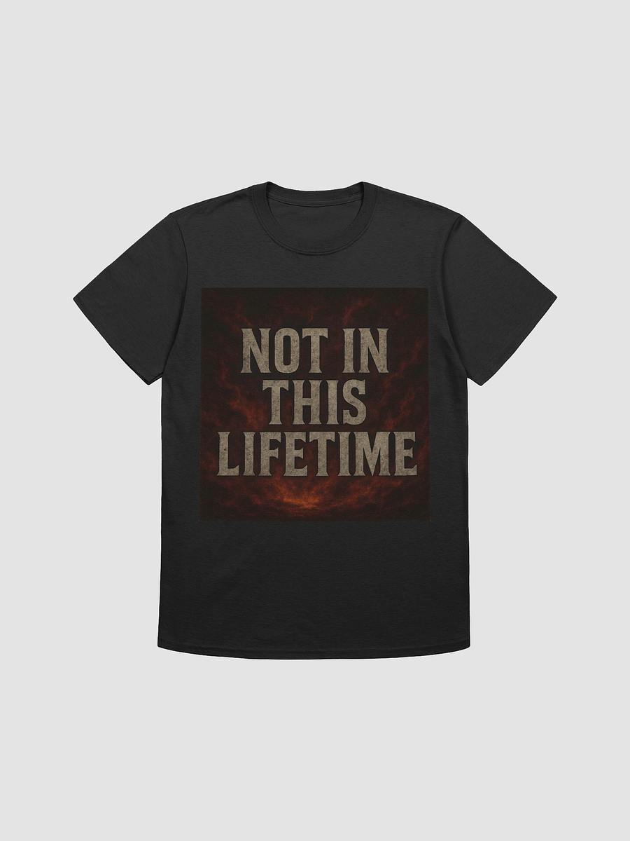Not In This Lifetime product image (1)