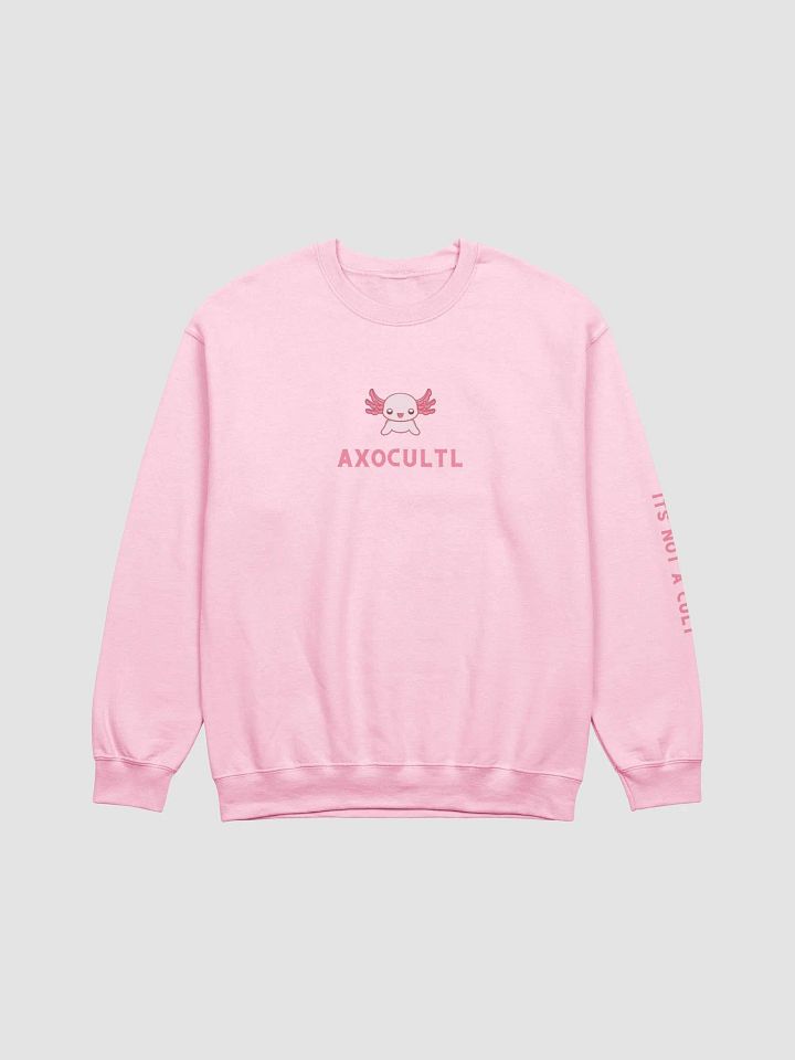 NOT A CULT Sweatshirt product image (2)