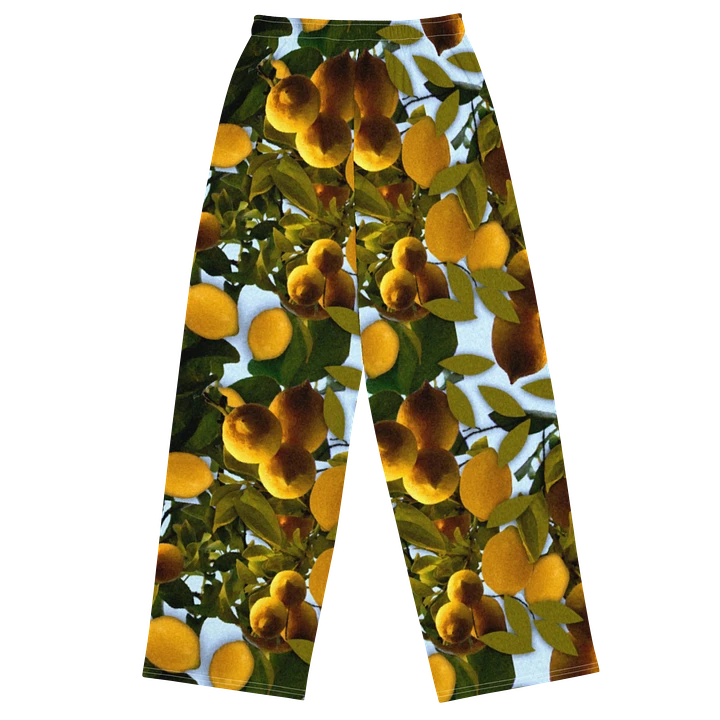 Lemon Tree Wideleg Pants product image (1)