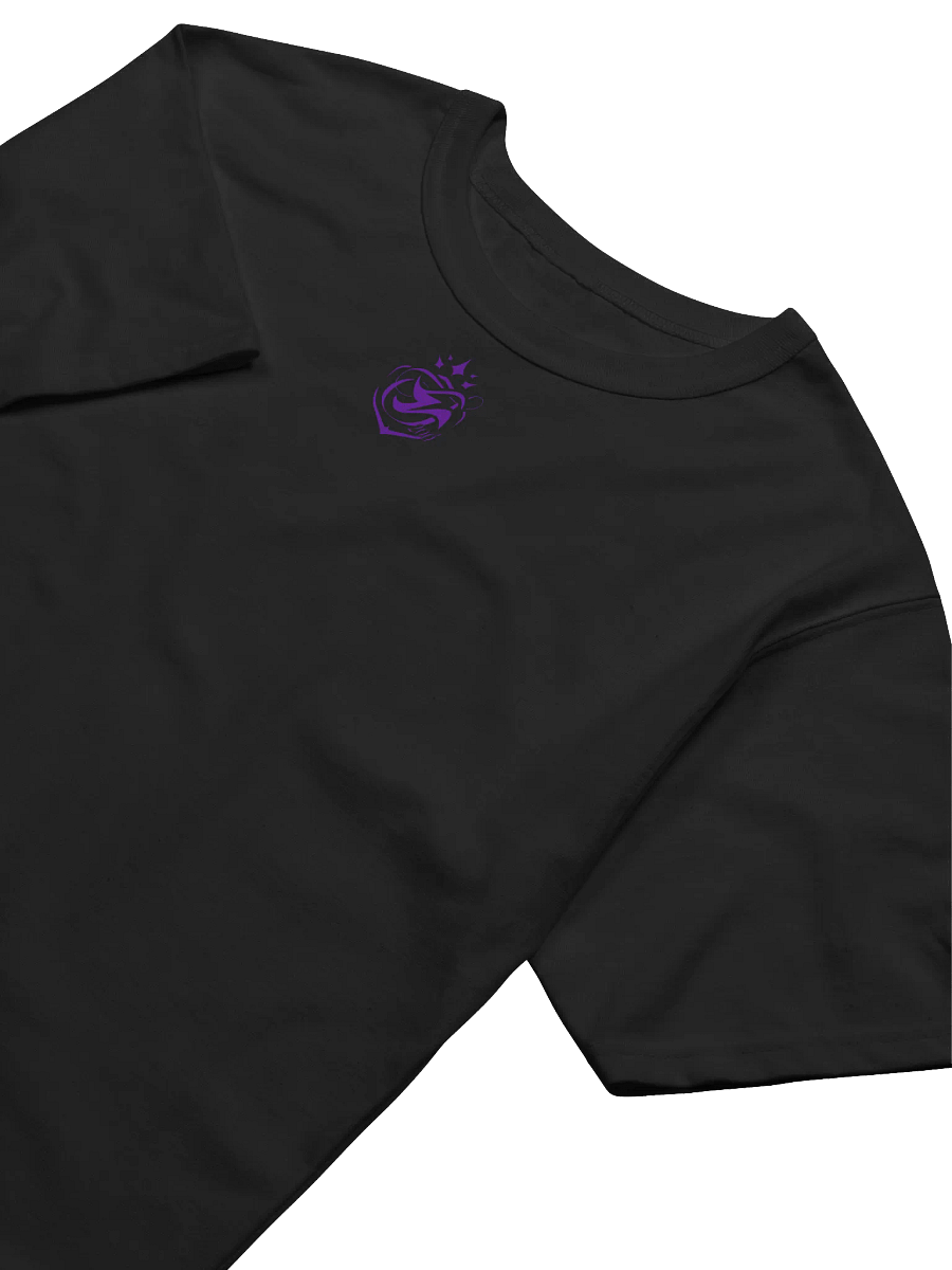 T-shirt Officiel – 200th Legion x CHAMPION product image (23)