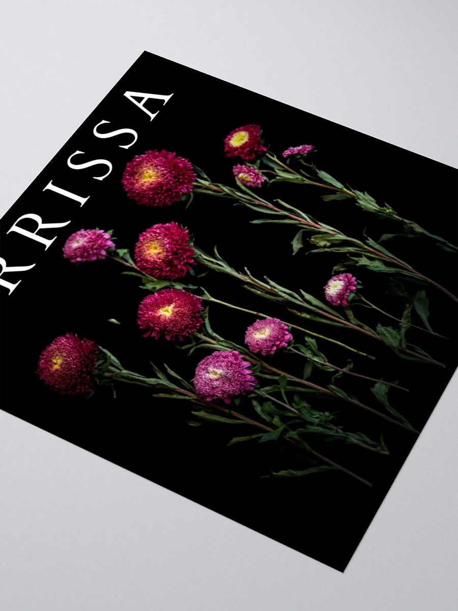 Crrissa - Sticker product image (3)