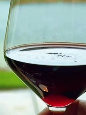The rain doesn’t ask questions. It just falls—like the thoughts I drown in this glass of wine. 🍷🌧️ #MoodyVibes #RainAndWine #QuietStorm
