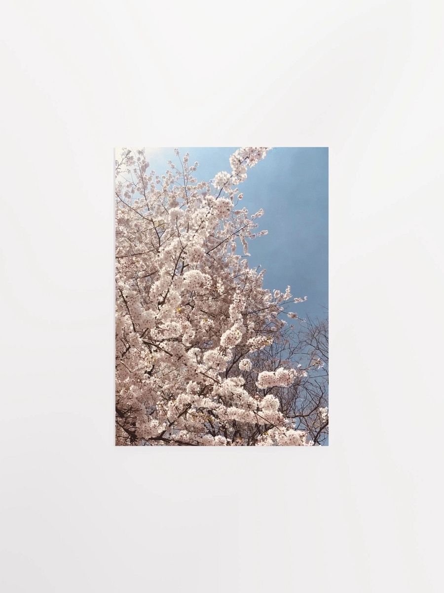 Primavera - Enhanced Matte Paper Poster product image (1)